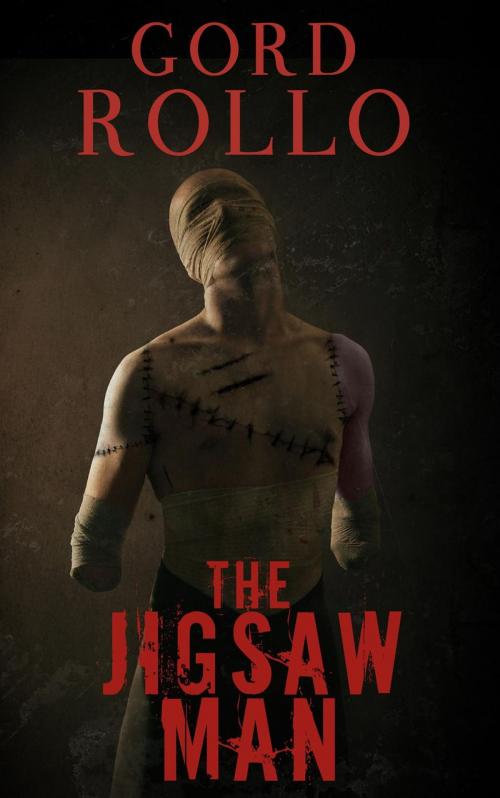 Cover of the book The Jigsaw Man by Gord Rollo, Ashbury Creek Media
