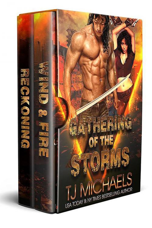 Cover of the book Gathering of the Storms Boxed Set: Wind and Fire / Reckoning by T.J. Michaels, BENT WEST INC