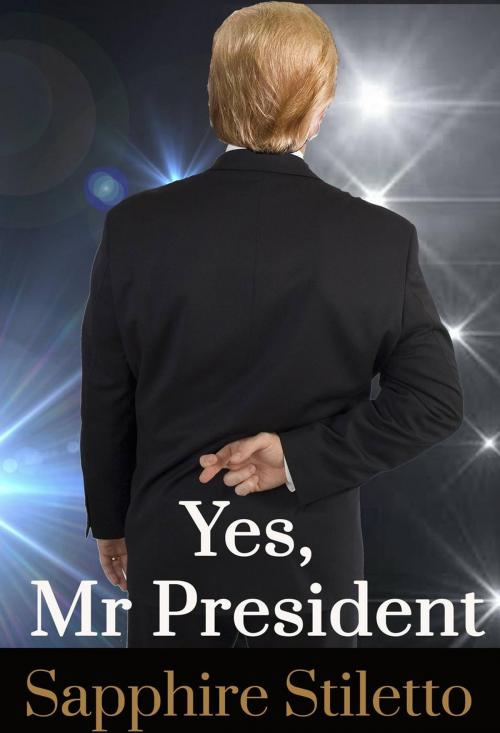 Cover of the book Yes, Mr President! by Sapphire Stiletto, Stiletto Publications