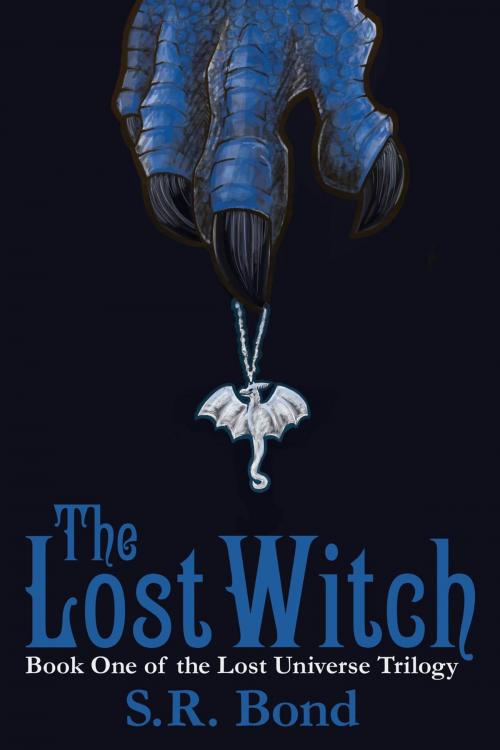 Cover of the book The Lost Witch by S.R. Bond, S.R. Bond