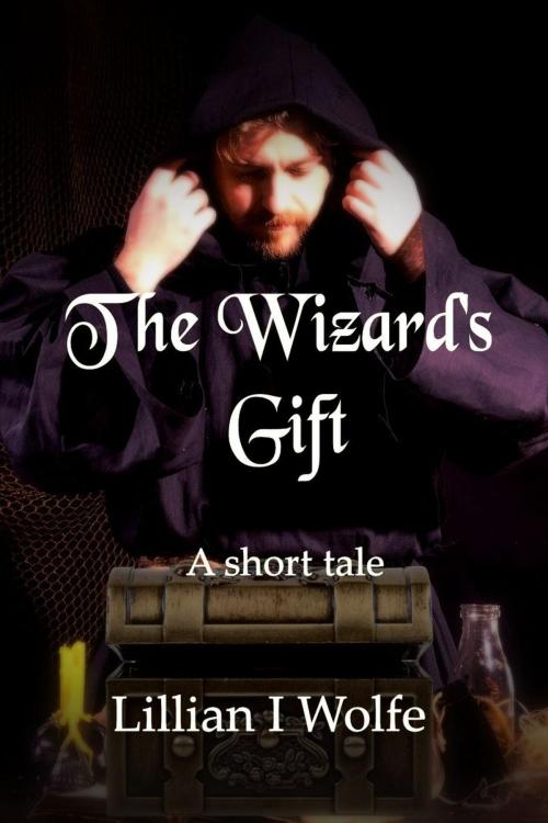 Cover of the book The Wizard's Gift by Lillian I Wolfe, Pynhavyn Press