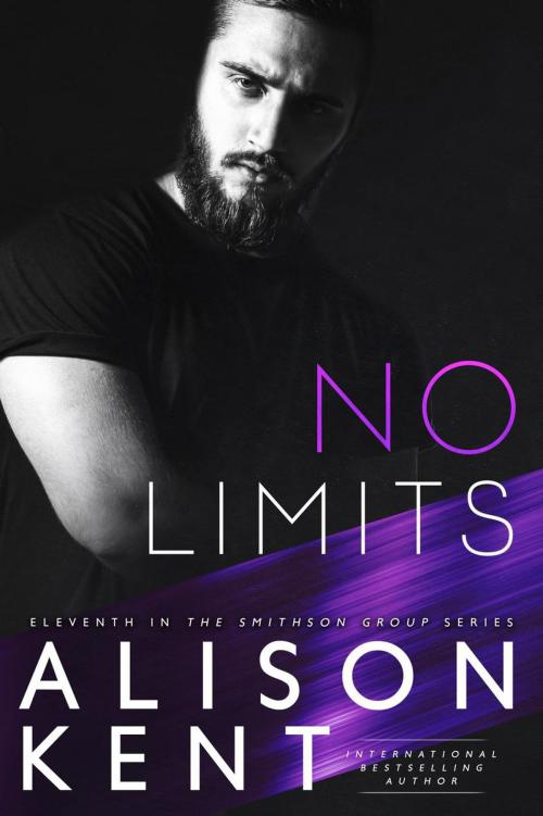 Cover of the book No Limits by Alison Kent, Rocks and Ink