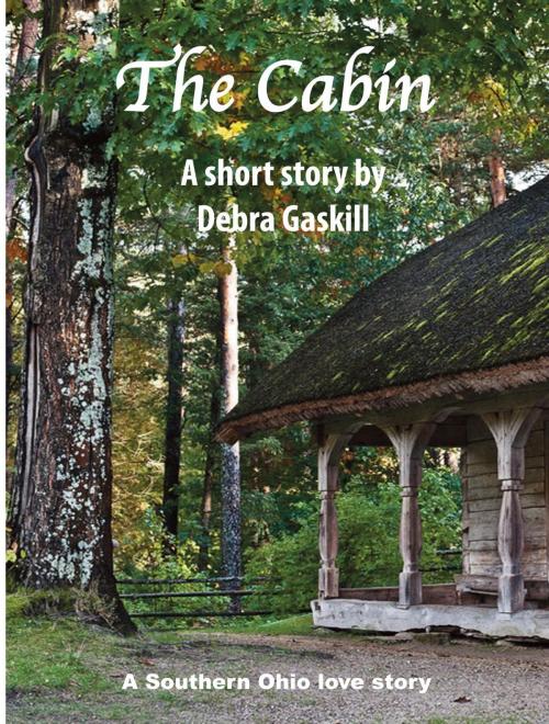 Cover of the book The Cabin by Debra Gaskill, Debra Gaskill