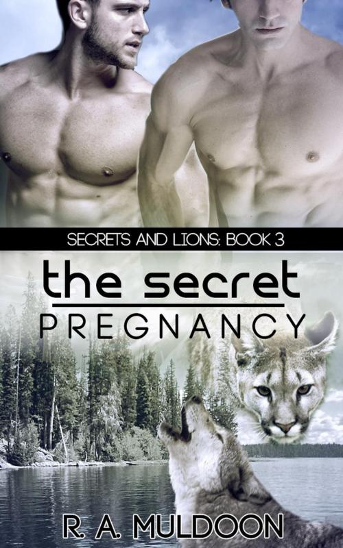 Cover of the book The Secret Pregnancy by R.A. Muldoon, R.A. Muldoon