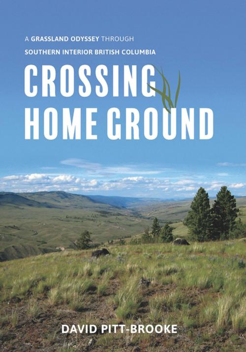 Cover of the book Crossing Home Ground by David Pitt-Brooke, Harbour Publishing Co. Ltd.