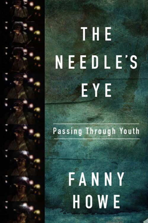 Cover of the book The Needle's Eye by Fanny Howe, Graywolf Press