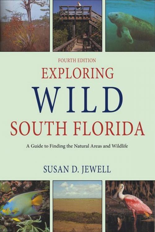 Cover of the book Exploring Wild South Florida by Susan D Jewell, Pineapple Press
