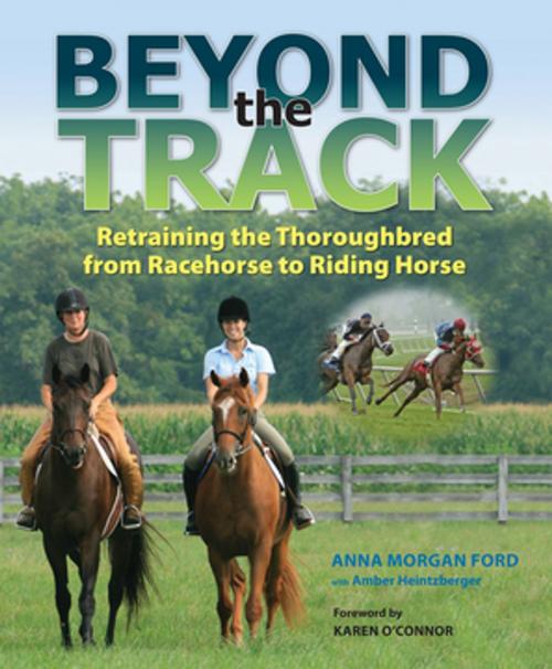 Cover of the book Beyond the Track by Anna Morgan Ford, Trafalgar Square Books