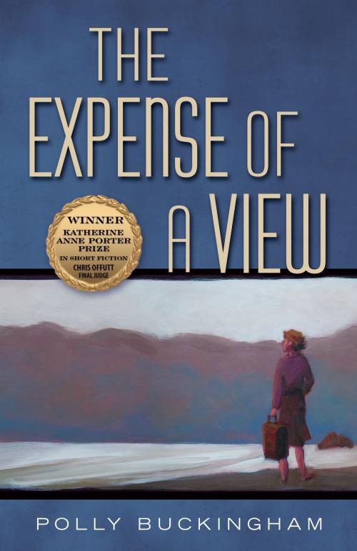 Cover of the book The Expense of a View by Polly Buckingham, University of North Texas Press