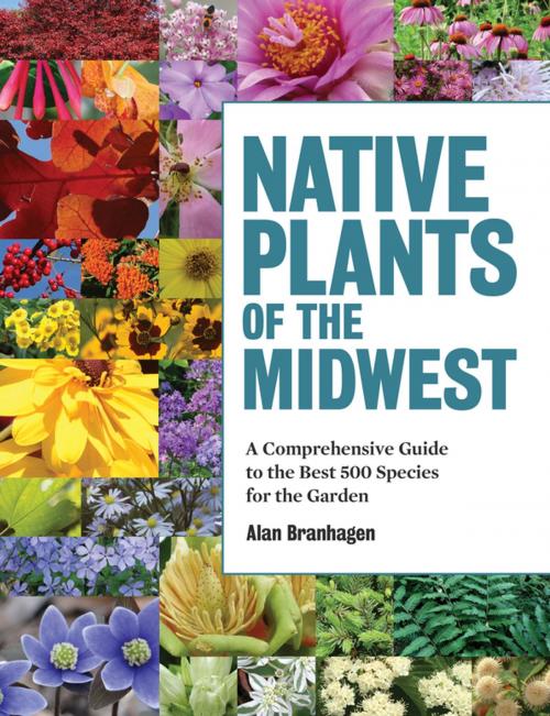 Cover of the book Native Plants of the Midwest by Alan Branhagen, Timber Press