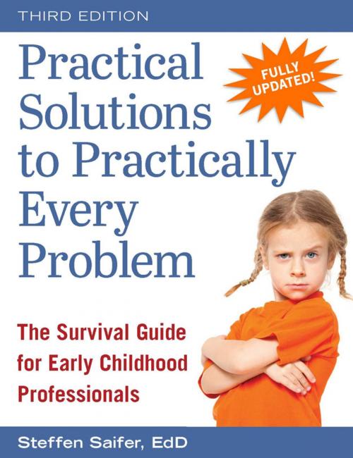 Cover of the book Practical Solutions to Practically Every Problem by Steffen Saifer, Redleaf Press