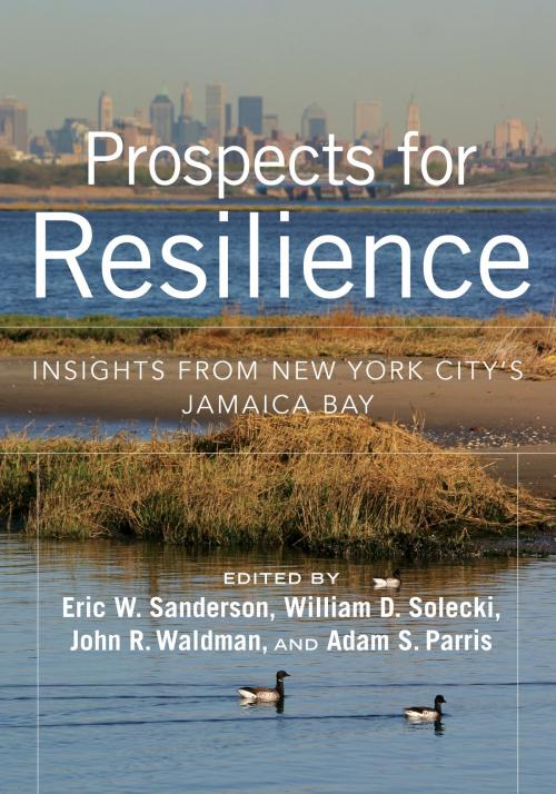 Cover of the book Prospects for Resilience by Eric W. Sanderson, William D. Solecki, John R. Waldman, Adam S. Parris, Island Press
