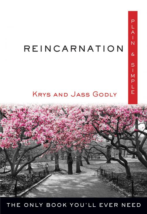 Cover of the book Reincarnation Plain & Simple by Krys Godly, Joss Godly, Hampton Roads Publishing