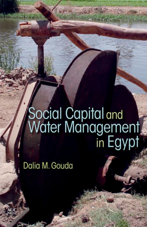 Cover of the book Social Capital and Local Water Management in Egypt by Dalia M. Gouda, The American University in Cairo Press