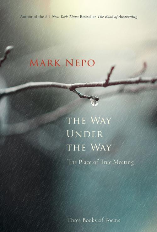 Cover of the book The Way Under the Way by Mark Nepo, Sounds True