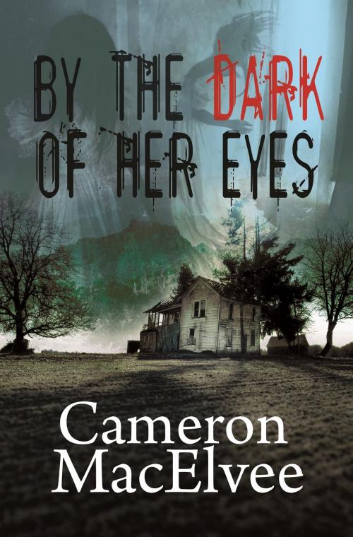 Cover of the book By the Dark of Her Eyes by Cameron MacElvee, Bold Strokes Books, Inc.