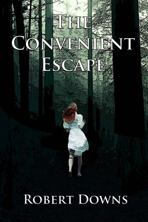 Cover of the book The Convenient Escape by Robert Downs, Black Opal Books