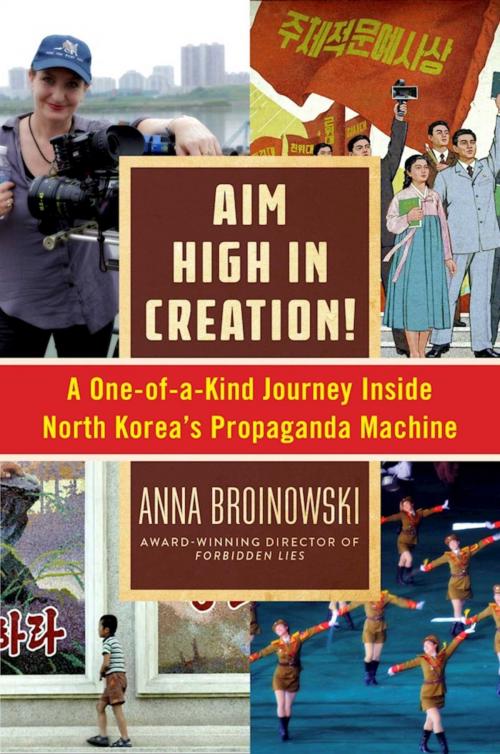Cover of the book Aim High in Creation! by Anna Broinowski, Arcade