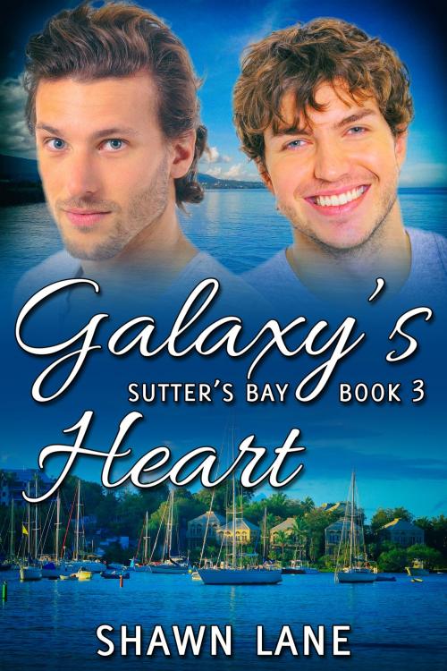 Cover of the book Galaxy's Heart by Shawn Lane, JMS Books LLC