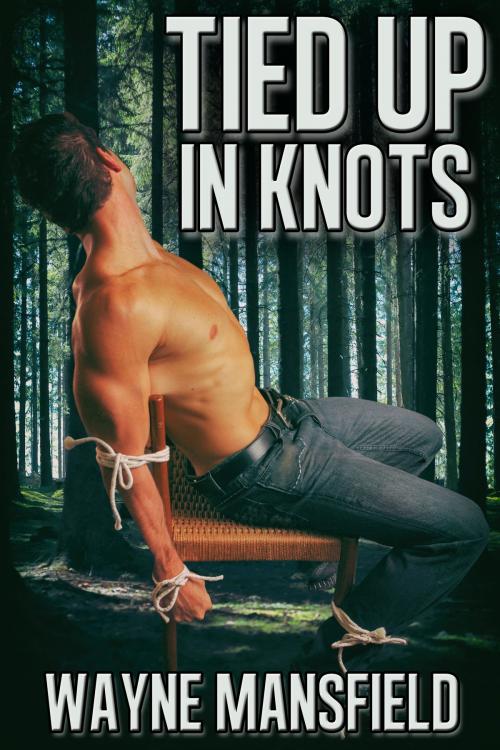 Cover of the book Tied Up In Knots by Wayne Mansfield, JMS Books LLC