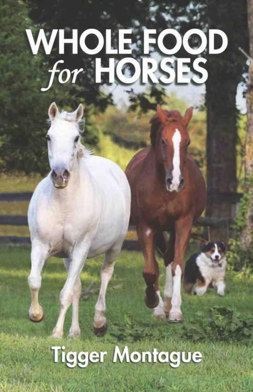 Cover of the book Whole Food for Horses by Tigger Montague, BookLocker.com, Inc.