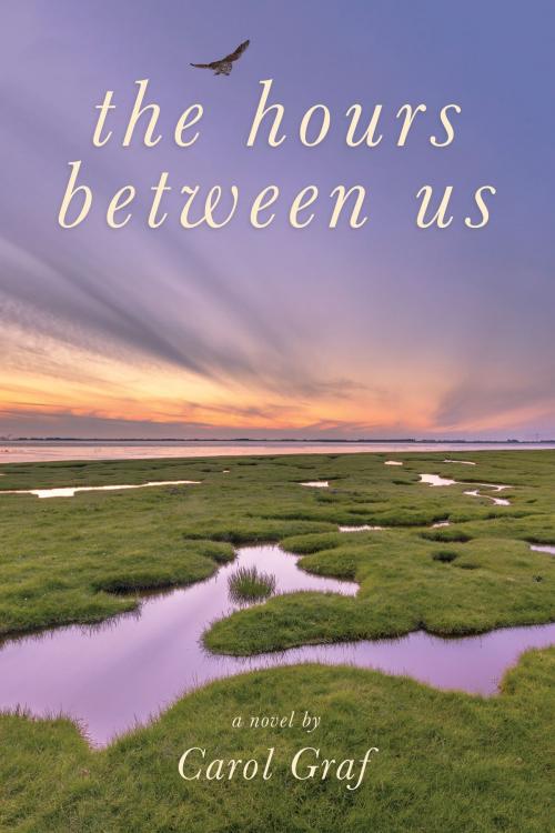 Cover of the book The Hours Between Us by Carol Graf, Mill City Press