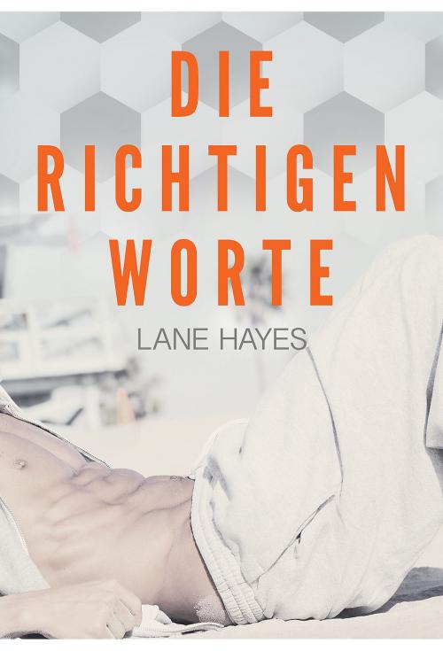Cover of the book Die richtigen Worte by Lane Hayes, Dreamspinner Press