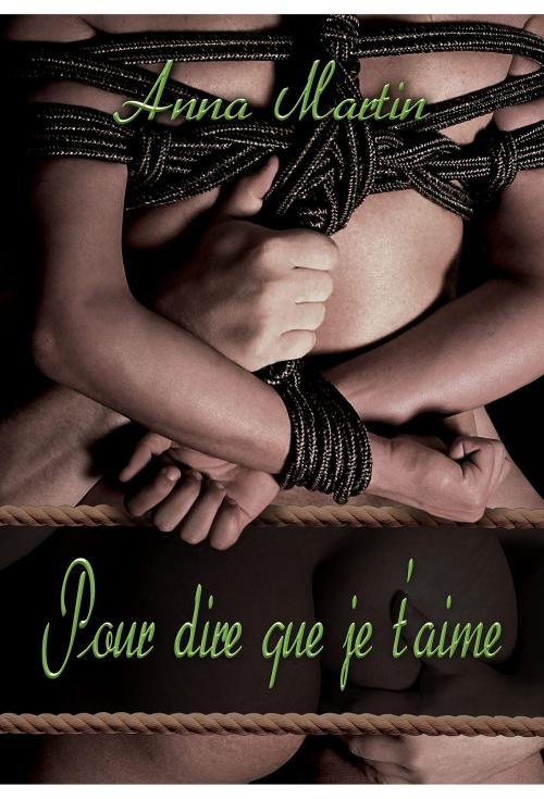 Cover of the book Pour dire que je t'aime by Anna Martin, Dreamspinner Press