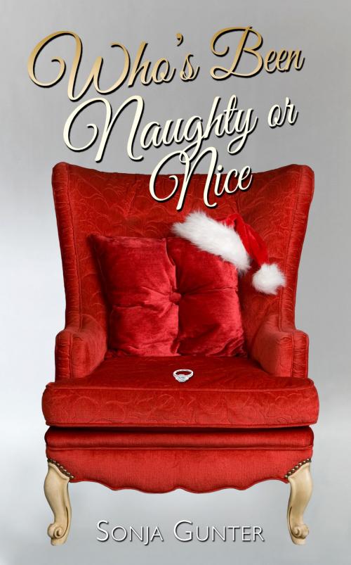 Cover of the book Who's Been Naughty or Nice by Sonja Gunter, Melange Books, LLC