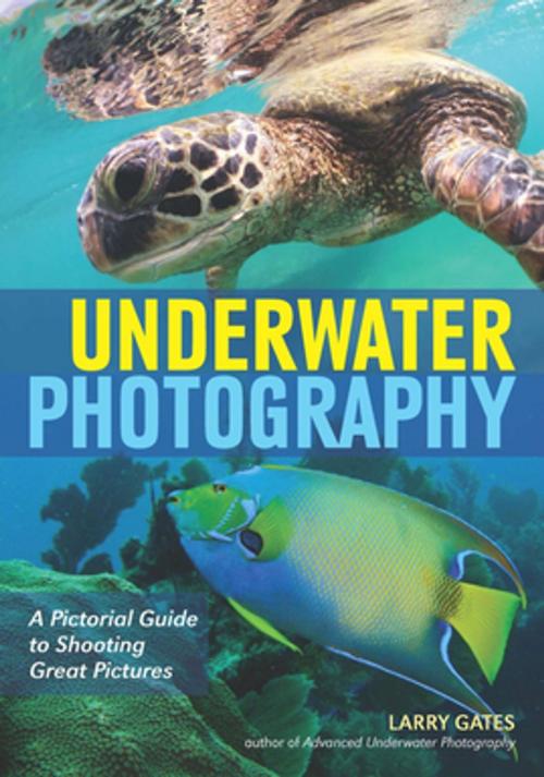 Cover of the book Underwater Photography by Larry Gates, Amherst Media