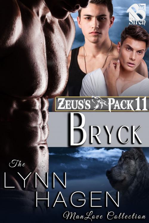 Cover of the book Bryck by Lynn Hagen, Siren-BookStrand