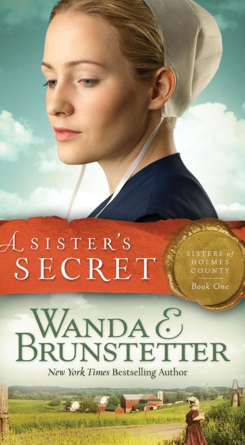 Cover of the book A Sister's Secret by Wanda E. Brunstetter, Barbour Publishing, Inc.