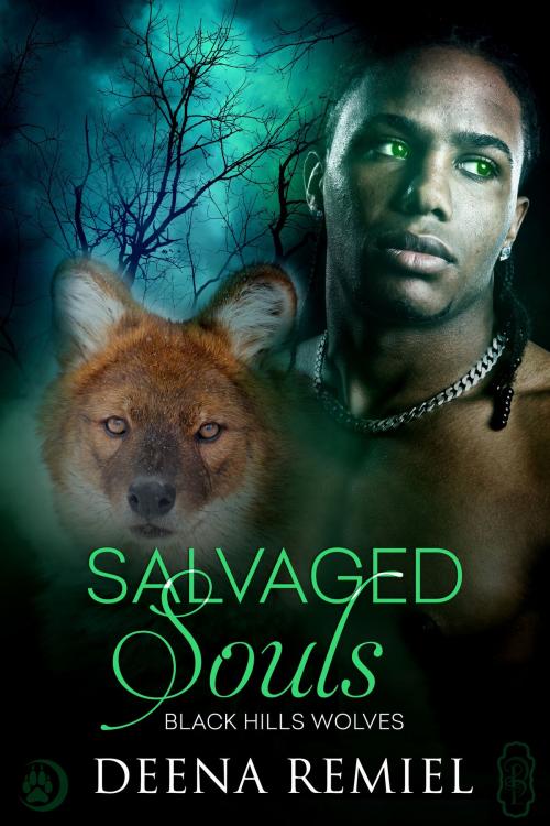 Cover of the book Salvaged Souls (Black Hills Wolves #58) by Deena Remiel, Decadent Publishing Company