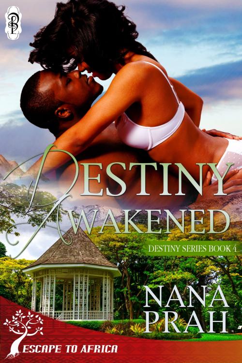Cover of the book Destiny Awakened (Destiny African Romance #4) by Nana Prah, Decadent Publishing Company