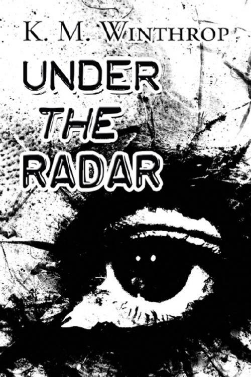 Cover of the book Under the Radar by K. M. Winthrop, America Star Books