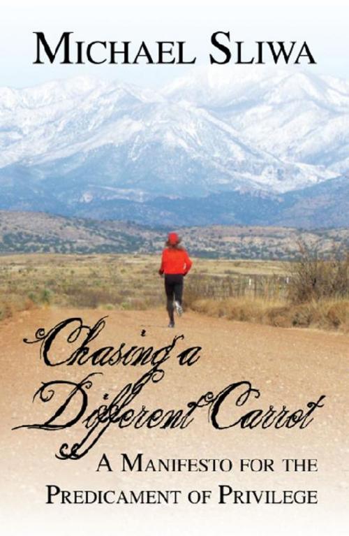 Cover of the book Chasing a Different Carrot: A Manifesto for the Predicament of Privilege by Michael Jon Sliwa, America Star Books