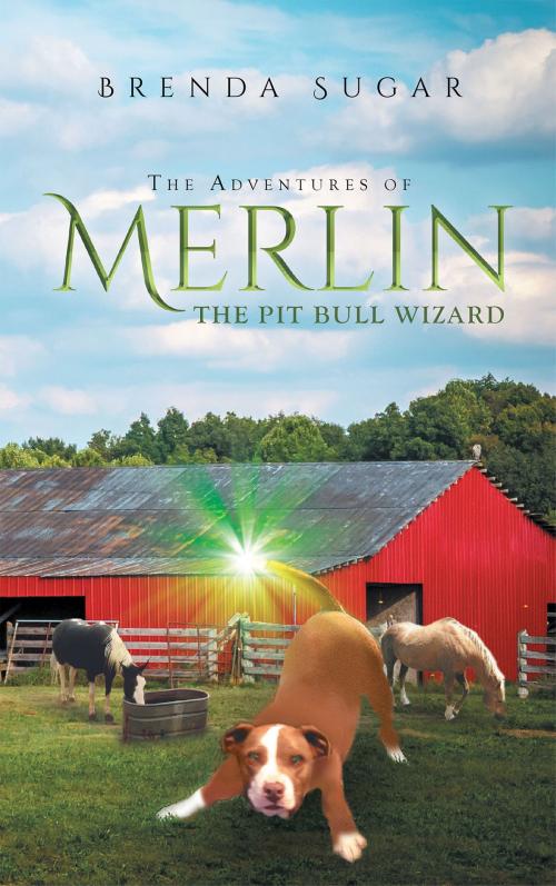Cover of the book The Adventures of Merlin the Pit Bull Wizard by Brenda Sugar, Page Publishing, Inc.