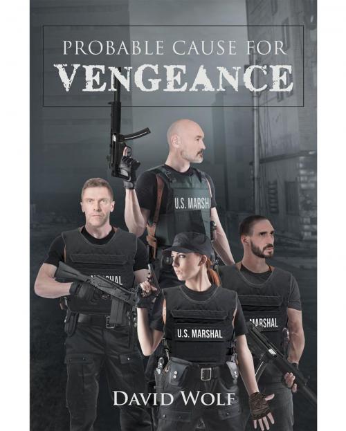 Cover of the book Probable Cause for Vengeance by Dave Wolf, Page Publishing, Inc.