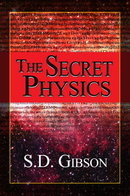 Cover of the book The Secret Physics by S.D. Gibson, Double Dragon Publishing