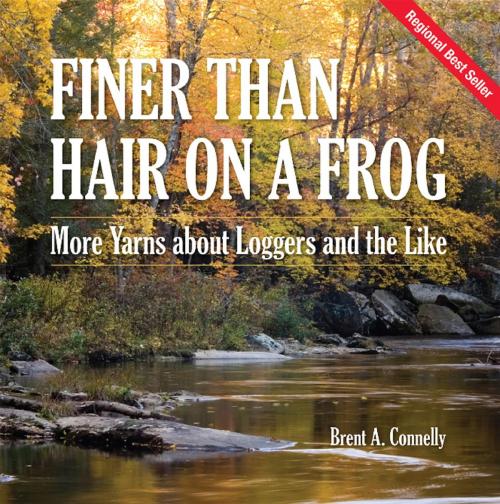 Cover of the book Finer Than Hair on a Frog by Brent A Connelly, Burnstown Publishing House