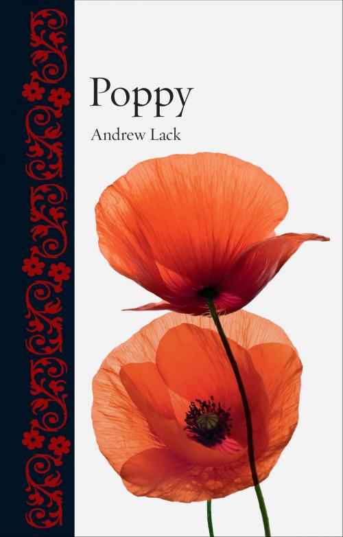 Cover of the book Poppy by Andrew Lack, Reaktion Books
