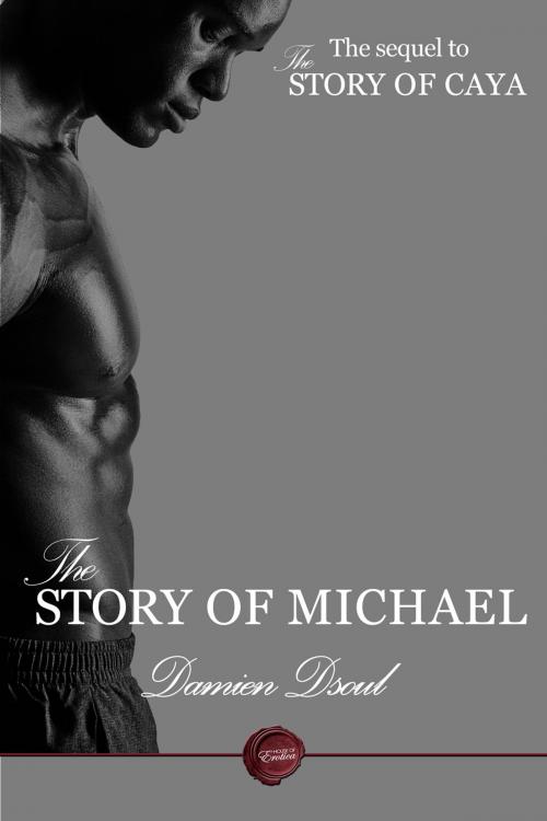 Cover of the book The Story of Michael by Damien Dsoul, Andrews UK