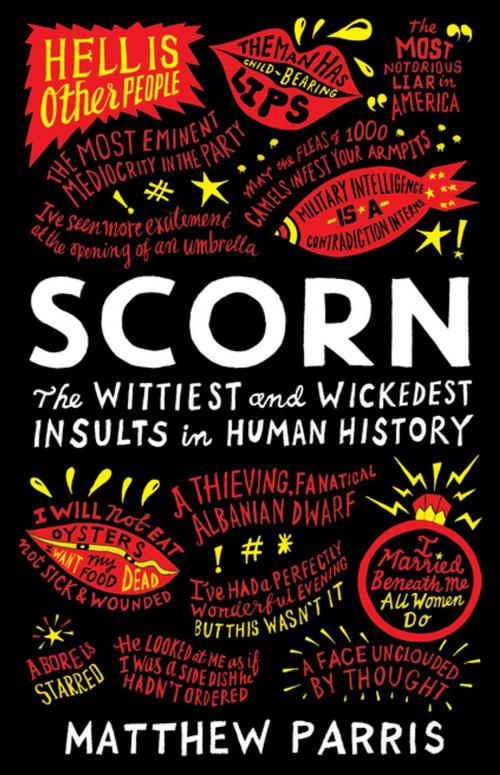 Cover of the book Scorn by Matthew Parris, Profile