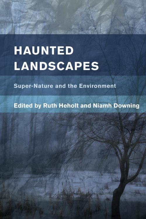 Cover of the book Haunted Landscapes by , Rowman & Littlefield International