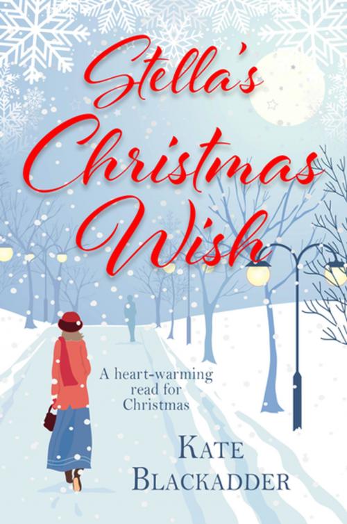 Cover of the book Stella's Christmas Wish by Kate Blackadder, Black & White Publishing