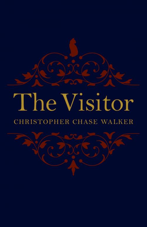 Cover of the book The Visitor by Christopher Chase Walker, John Hunt Publishing