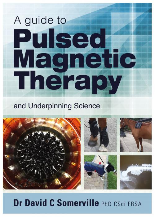 Cover of the book A Guide to Pulsed Magnetic Therapy by Dr David C  Somerville, Brown Dog