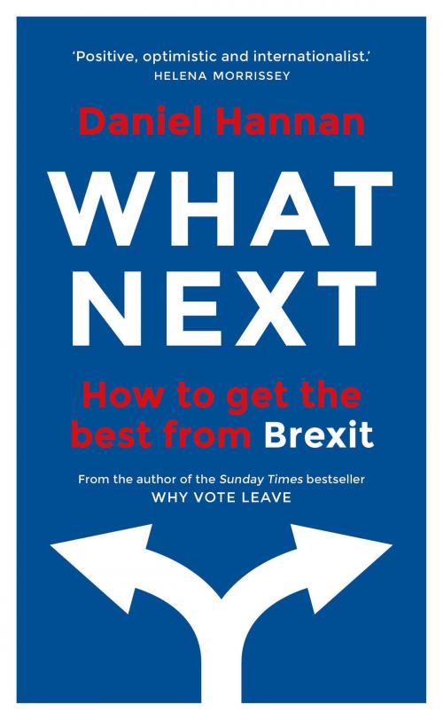 Cover of the book What Next by Daniel Hannan, Head of Zeus