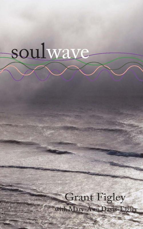 Cover of the book Soul Wave by Grant Figley, Mary-Ann Davis Figley, 4th Floor Press Inc.