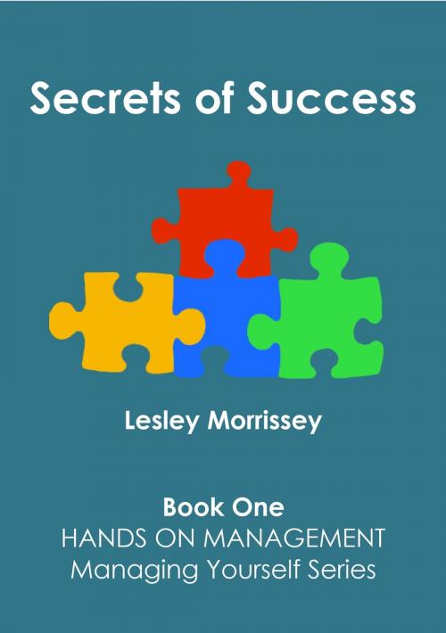 Cover of the book Secrets of Success by Lesley Morrissey, The Endless Bookcase